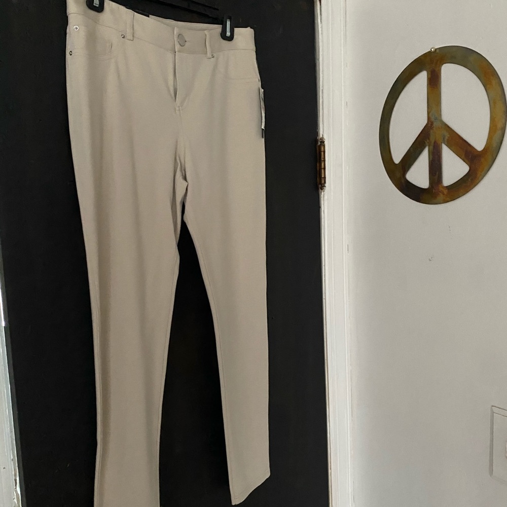 INC skinny pants greige NWT size 10